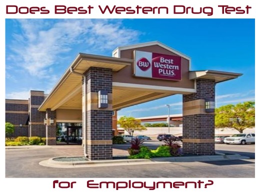 Does Best Western Drug Test for Pre-employment?