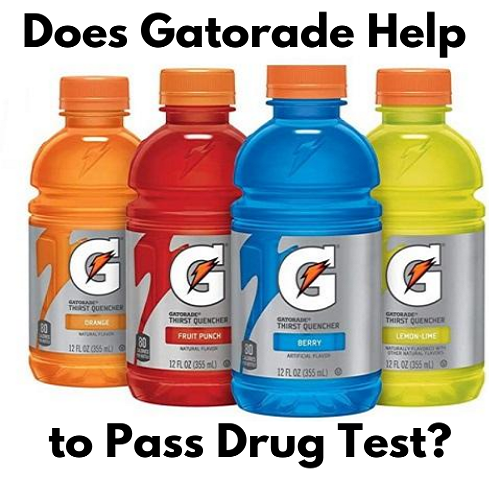 Does Gatorade Help to Pass Drug Test?
