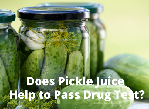 Does Pickle Juice Help to Pass Drug Test?